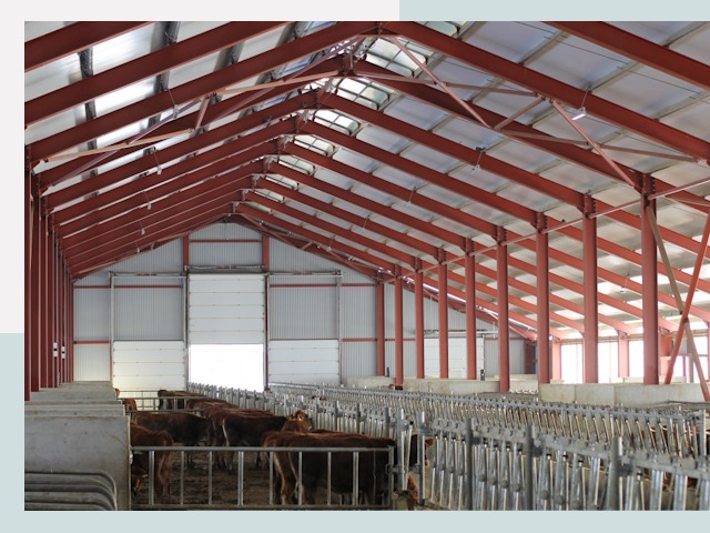 Строительство коровников в Арзамасе